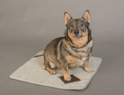 Hundfilt 50*60 cm, Svensk ull
