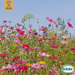 Sommarblom - Honey Bee Mixture