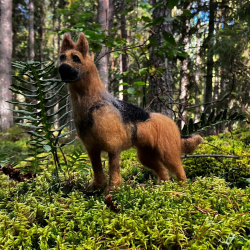 Ulltovad hund