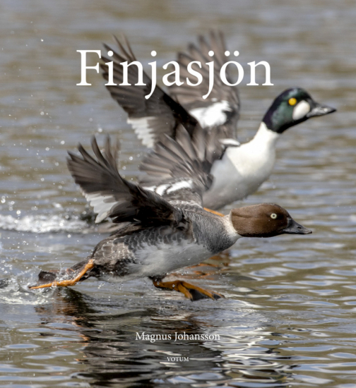 Omslag Finjasjön