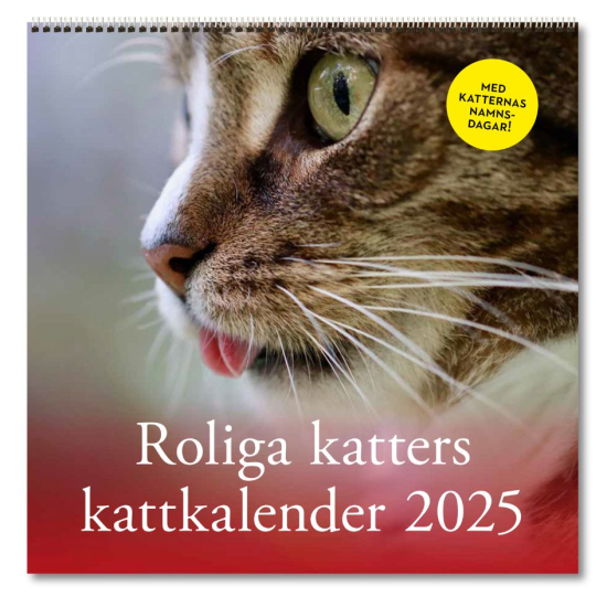 Roliga katters kattkalender 2025 i gruppen Landshopping.se / Böcker / Kalender hos Landshopping (10041_9789198909098)